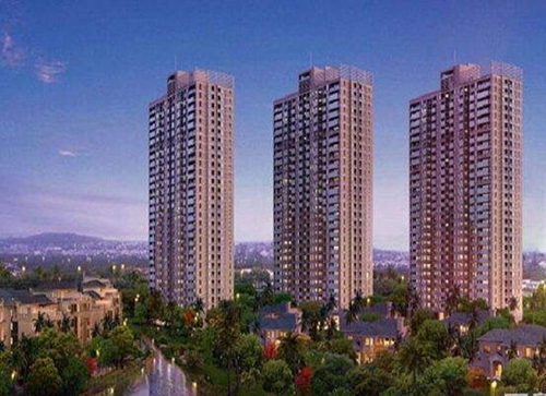 珠江柒號2022還可以買嗎5