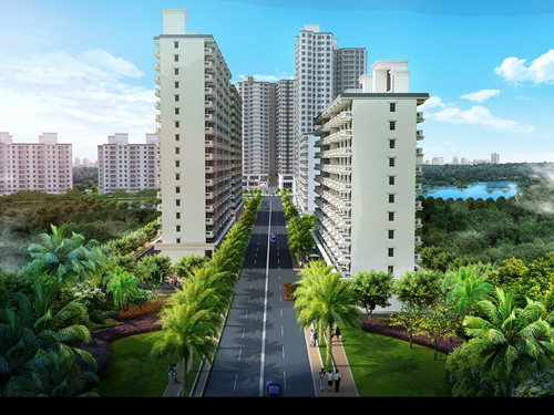 國禎·棕櫚島二手房紙得買嗎